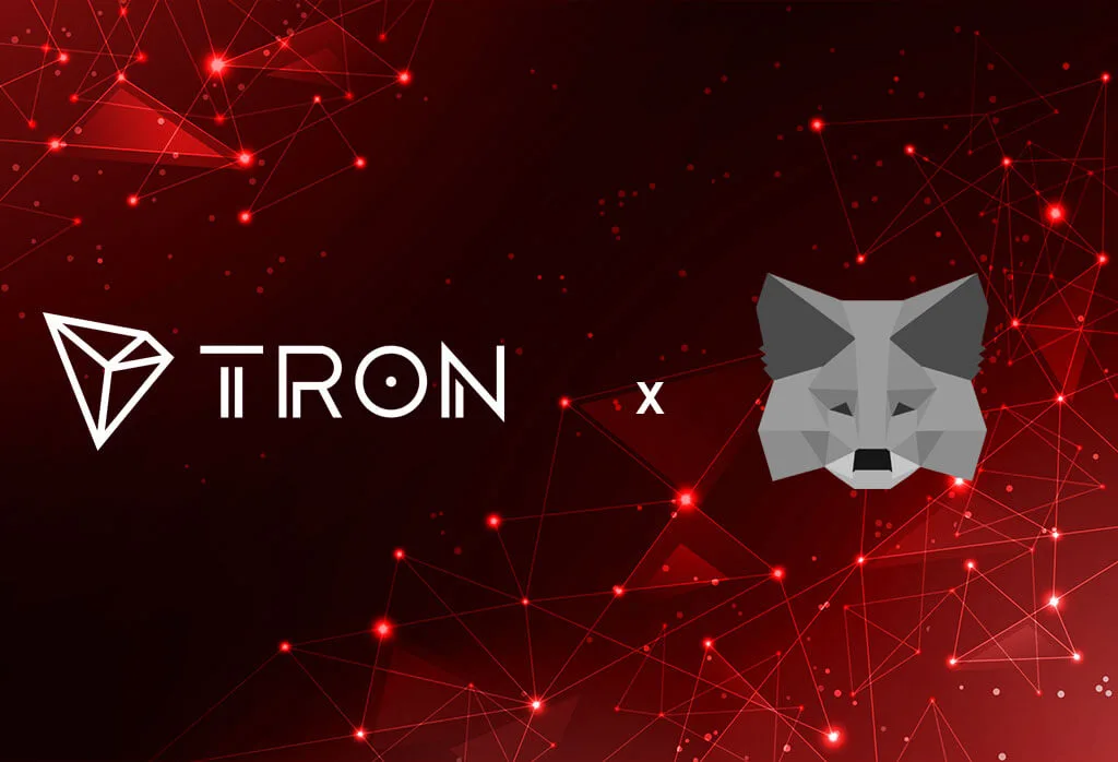 TRON integrated into MetaMask wallet